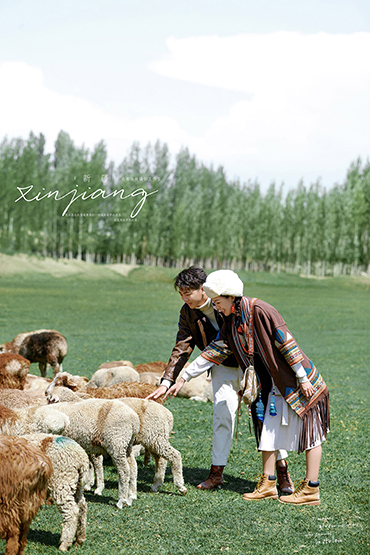 新疆旅拍 羊群